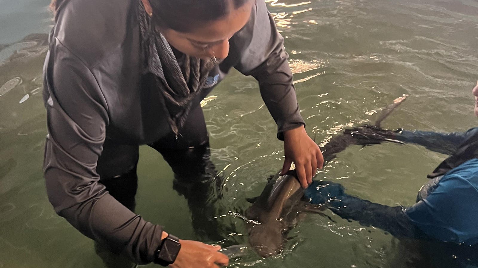 How A Latina Scientist Is Leading In Marine Research