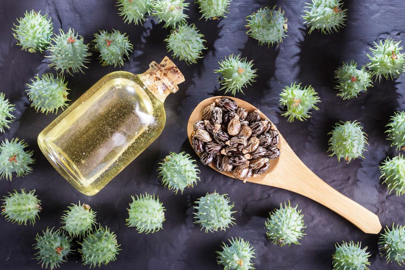 How Castor Oil Innovation Is Redefining Everyday Products
