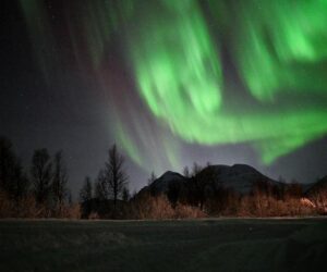 The Night Sky This Week