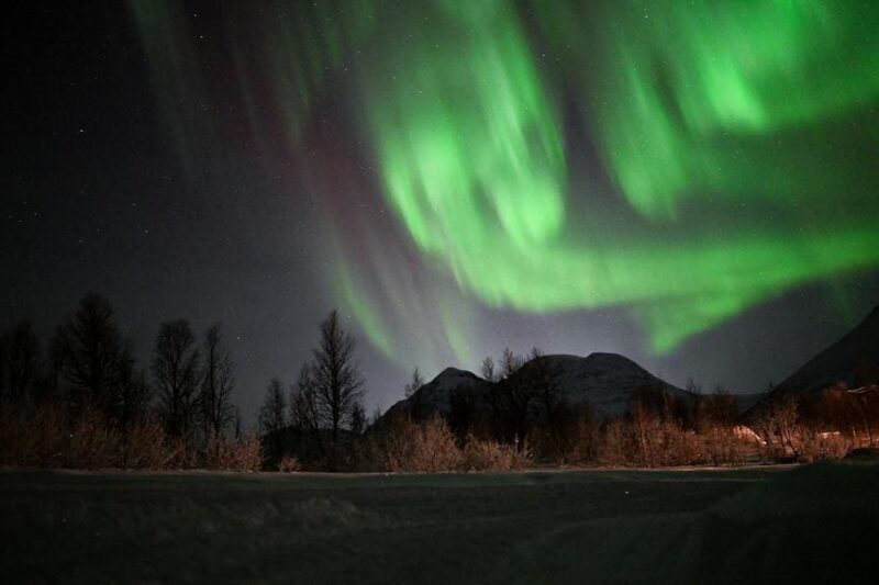 The Night Sky This Week