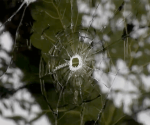 FBI arrests man accused of shooting into ABC news station