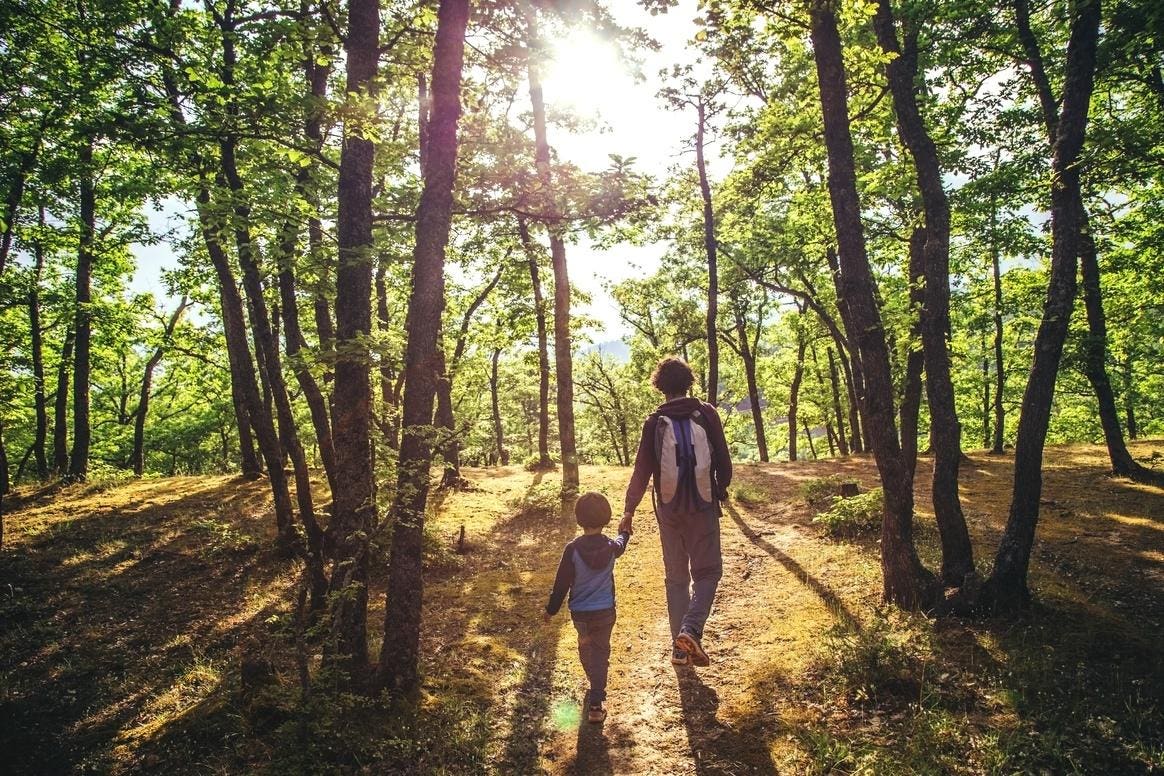 Shinrin-Yoku (Forest Bathing) Brings Healing For People And Planet