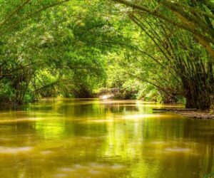 Rivers Are Waterways Of Life Powering Sustainability & Climate Change