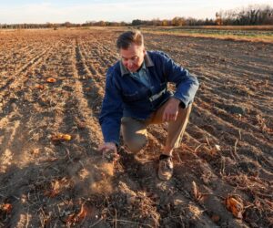 Nonprofit Launches Tool For User-Tailored Climate Solutions