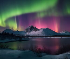The Night Sky This Week
