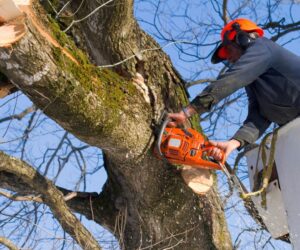 As AI Sweeps The White-Collar World, Blue-Collar Work Sees A Renaissance