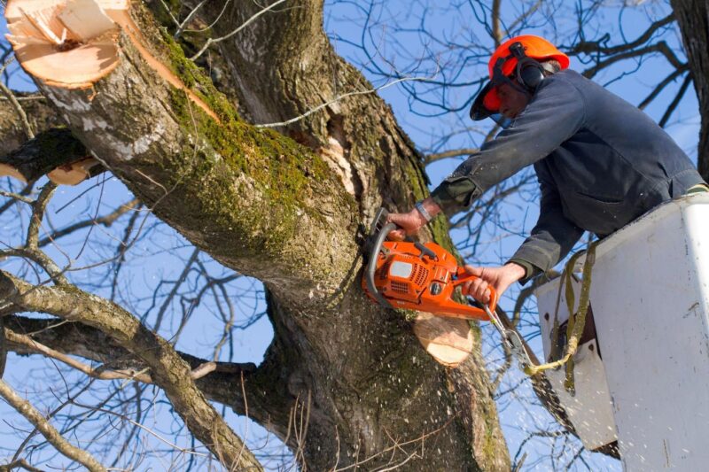 As AI Sweeps The White-Collar World, Blue-Collar Work Sees A Renaissance
