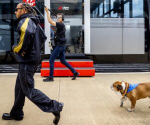 Lewis Hamilton mourns beloved dog, Roscoe: ‘My best friend’