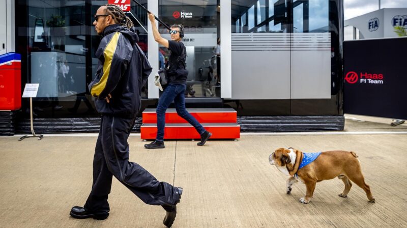Lewis Hamilton mourns beloved dog, Roscoe: ‘My best friend’