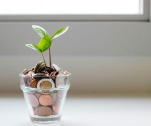 Surviving Disruption, Following The Money