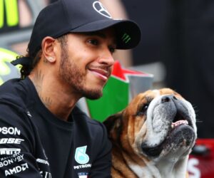 Hamilton’s love for Roscoe made F1 superhero relatable, human