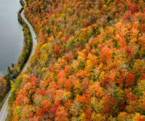 Experts warn of an early and shorter season