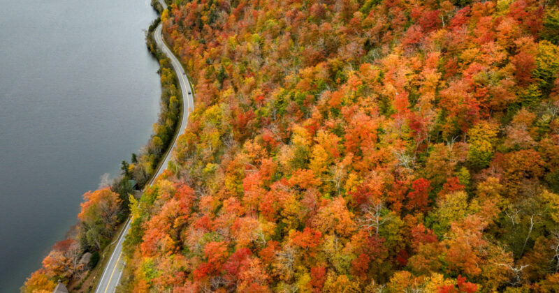 Experts warn of an early and shorter season
