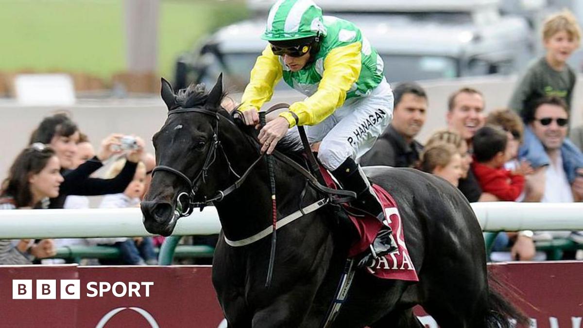 Wootton Bassett: Leading Coolmore sire dies aged 17