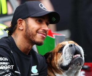 Hamilton pays tribute as his dog Roscoe dies