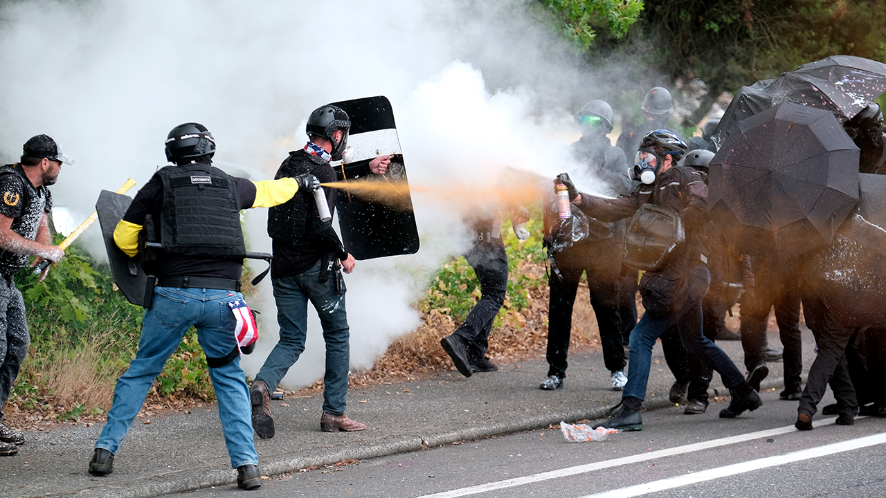 Online radicalization fuels wave of left-wing violence in America