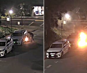 Anti-Israel California arsonist slapped with 235-month prison sentence