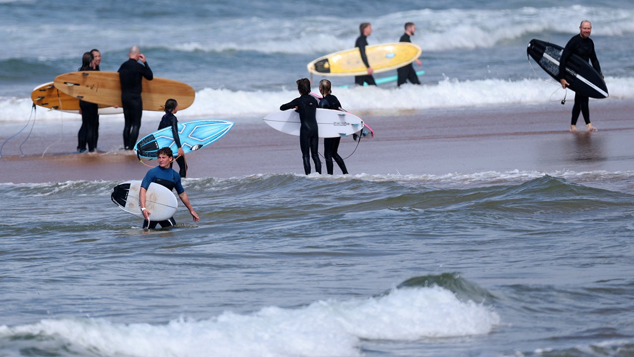 Man dies after ‘large shark’ attacked him at beach in Sydney, Australia