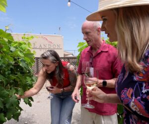 Award-winning Texas winemaker shows off small-town savvy and commitment to quality