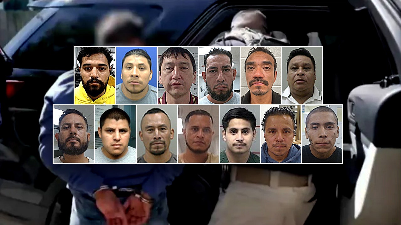 ICE arrests criminal illegal aliens for rape, armed robbery in Chicago