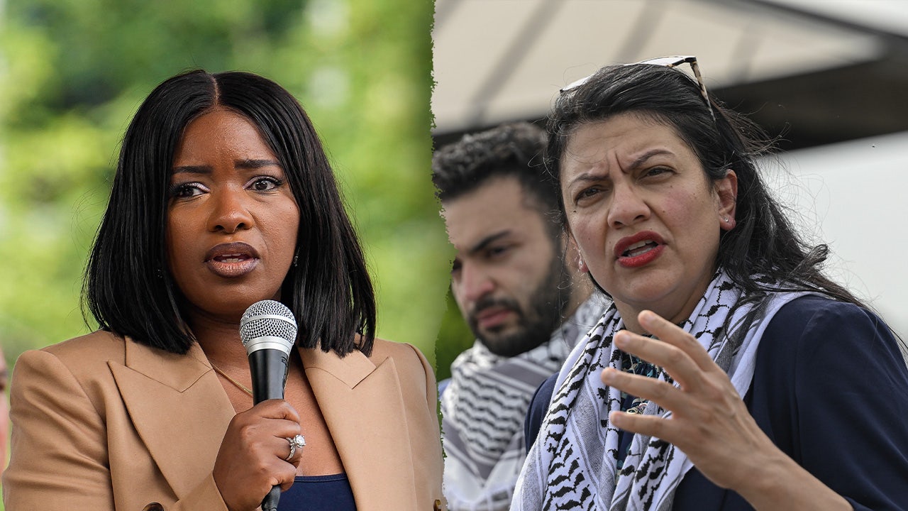 Progressives push DEI, anti-Israel measures in national defense bill
