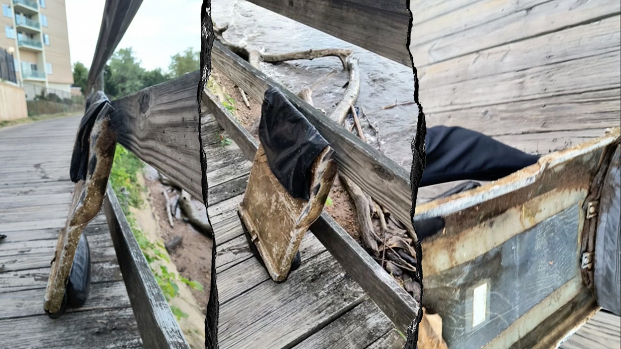 Dog walker finds possible wreckage from deadly DC midair collision