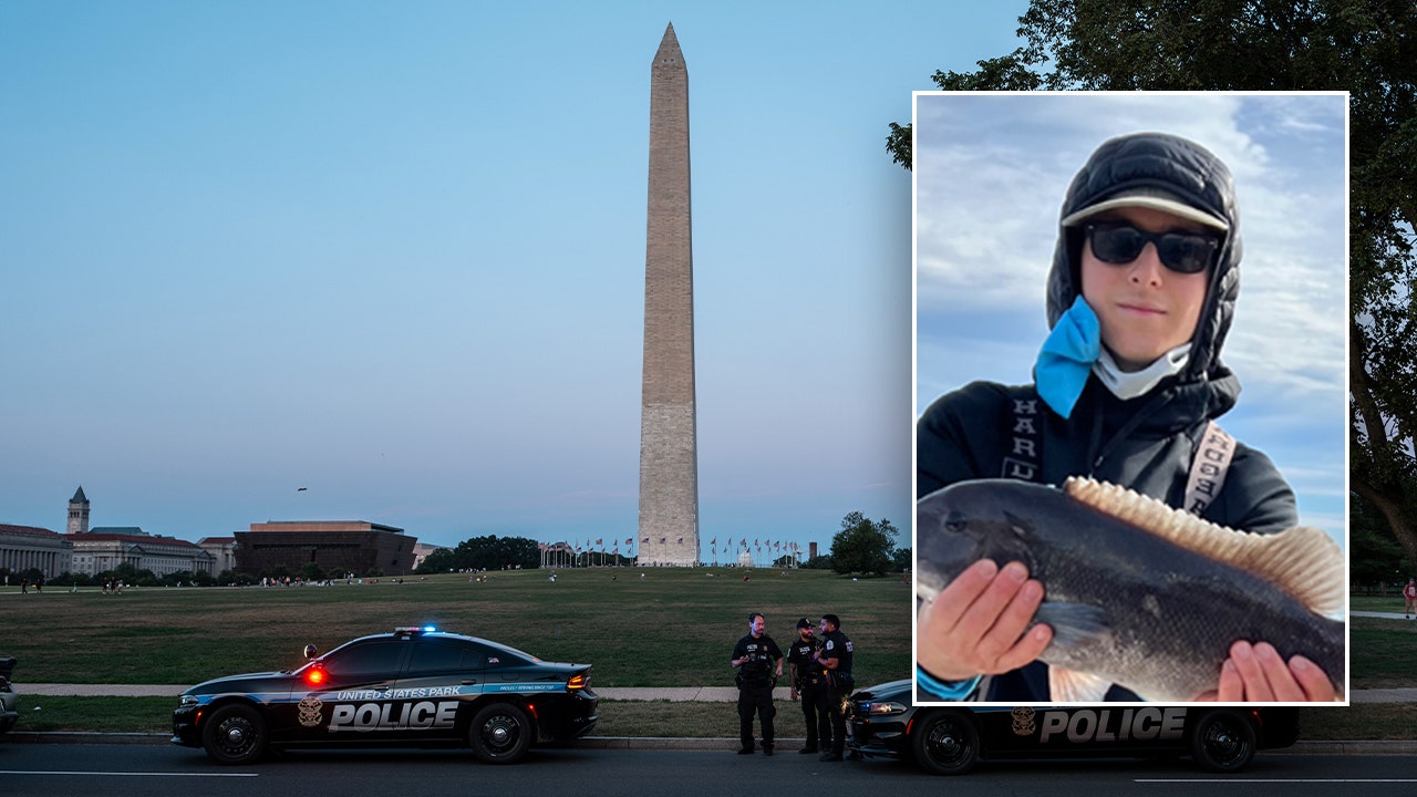 Mugshots of DC intern murder suspects released by police