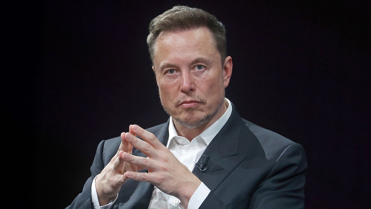 Elon Musk suggests anti-white male ‘propaganda’ drives trans identification
