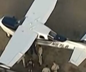 Plane makes emergency landing on California freeway
