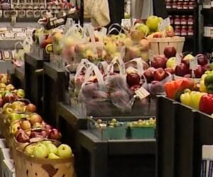 North Carolina businesses continue Helene recovery