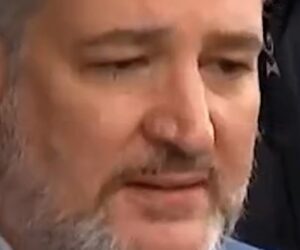 Cruz after ICE office shooting: ‘This needs to stop’