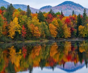 How Is Climate Change Impacting Fall Foliage?