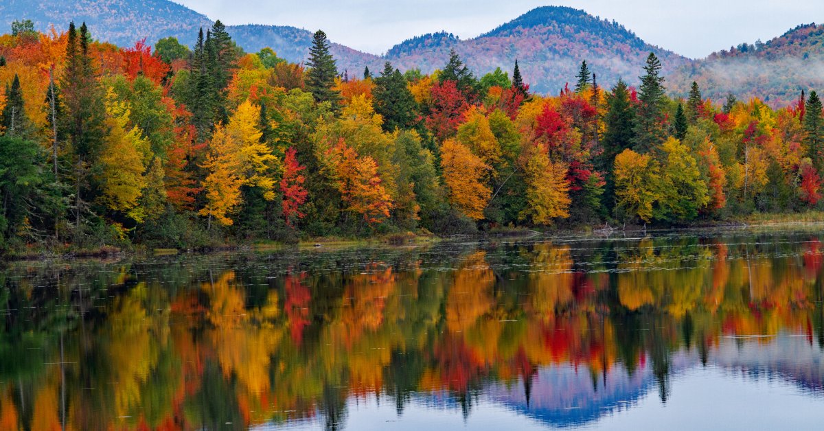 How Is Climate Change Impacting Fall Foliage?