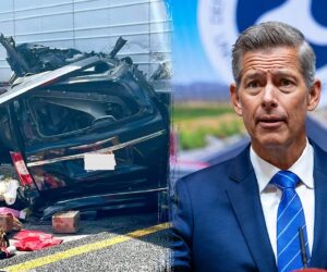 Transportation Dept tightens non-citizen truck driver rules after audit