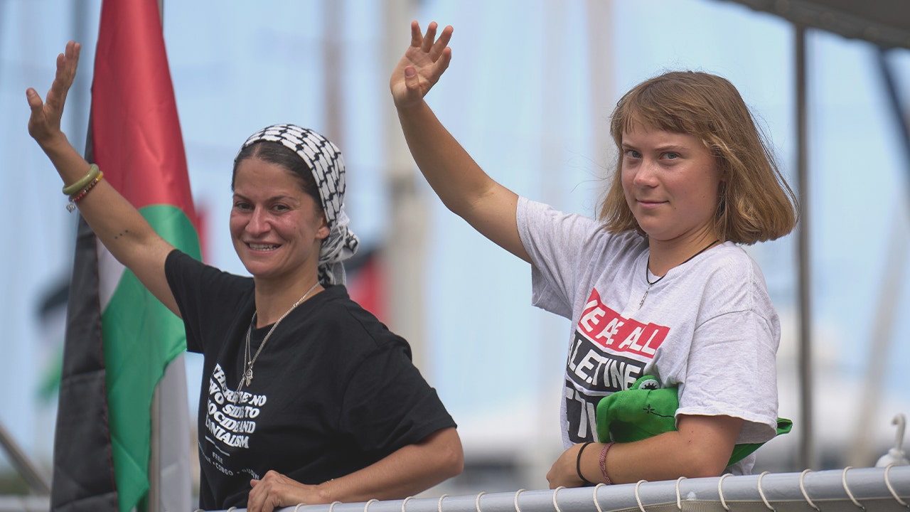 Maritime expert says Thunberg’s second Gaza aid flotilla won’t reach destination