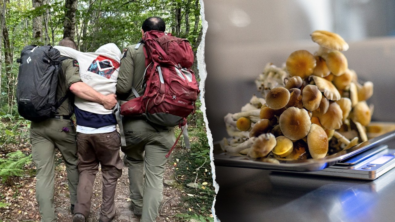 Rangers rescue mushroom-impaired hikers lost in New York’s Catskills