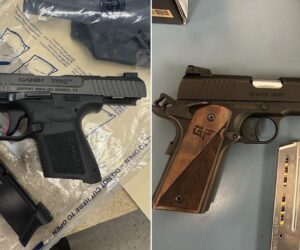 DHS releases images of firearms taken from anti-ICE protesters in Chicago
