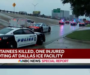 Three detainees were shot at Dallas ICE facility