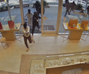 Armed mob caught on camera in smash and grab heist of California jewelry store