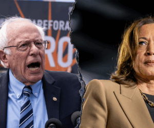 Bernie Sanders advised Harris to prioritize working class in 2024 campaign