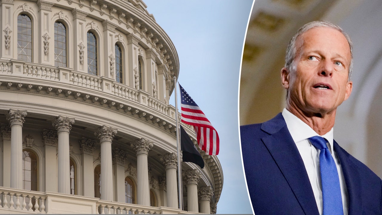 Thune plans Senate ‘suitcase nuke’ to speed up nominee confirmations