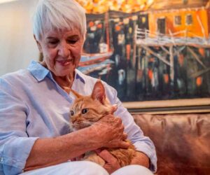 Love Lost AI helps reunite Washington woman with lost Maine Coon cat