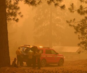 The Secret Weapon California Is Using To Prevent Blackouts