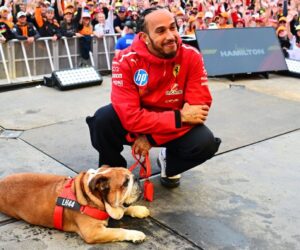 Lewis Hamilton: Reaction to dog Roscoe’s death ‘heartwarming’