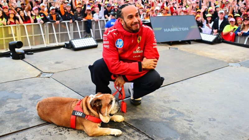 Lewis Hamilton: Reaction to dog Roscoe’s death ‘heartwarming’