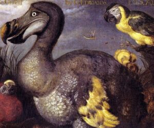 An Unnatural History Of Extinction,’ By Sadiah Qureshi — Review
