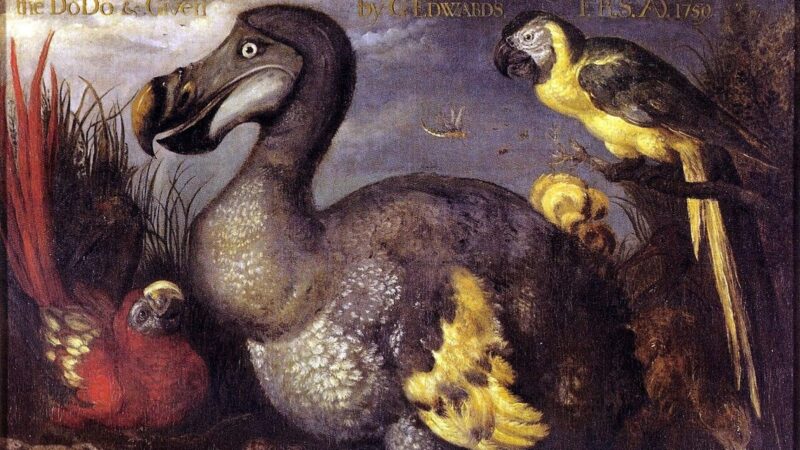 An Unnatural History Of Extinction,’ By Sadiah Qureshi — Review