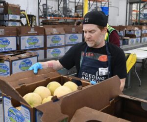 What Canceling The U.S. Federal Government’s Hunger Survey Means