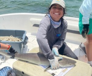 Meet The Woman Who’s Making Shark Science Inclusive And Revolutionary