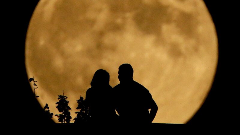 The Night Sky This Week